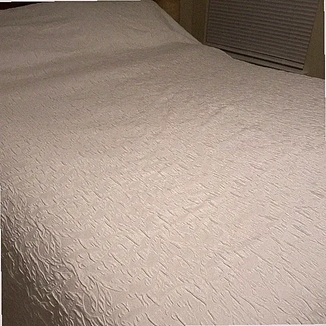 Queen Duvet Cover Jacquard Coverlet White Hampton Robert Allen